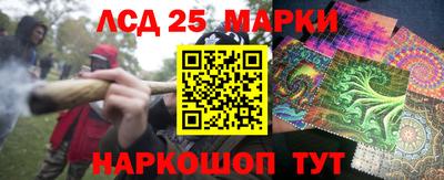 PSILOCYBIN Новокубанск