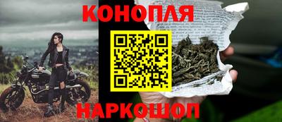 каннабис Новозыбков