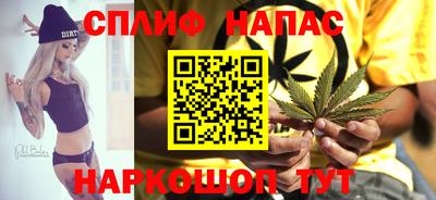 каннабис Новозыбков