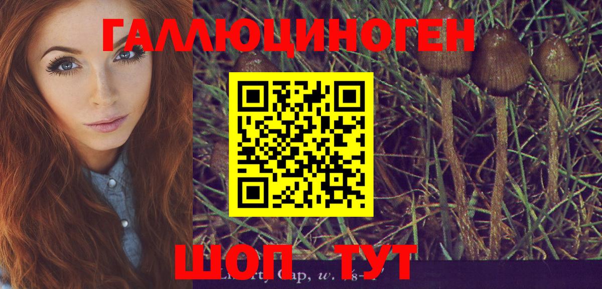 Тамбов  Галлюциногенные грибы Magic Shrooms  Вход с VPN 
