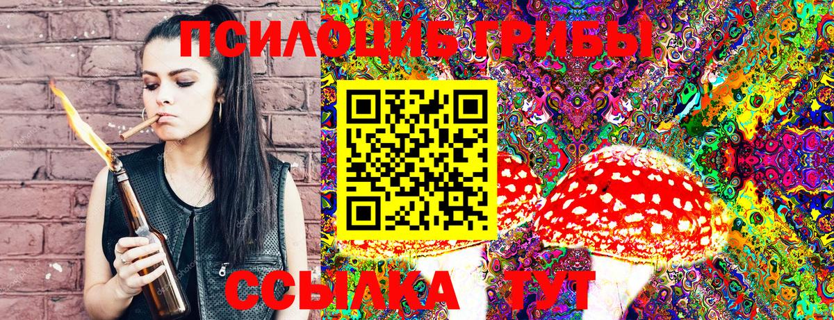 Галлюциногенные грибы Psilocybe Тамбов